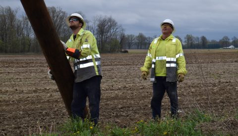 Construction Workers Electrical Pole