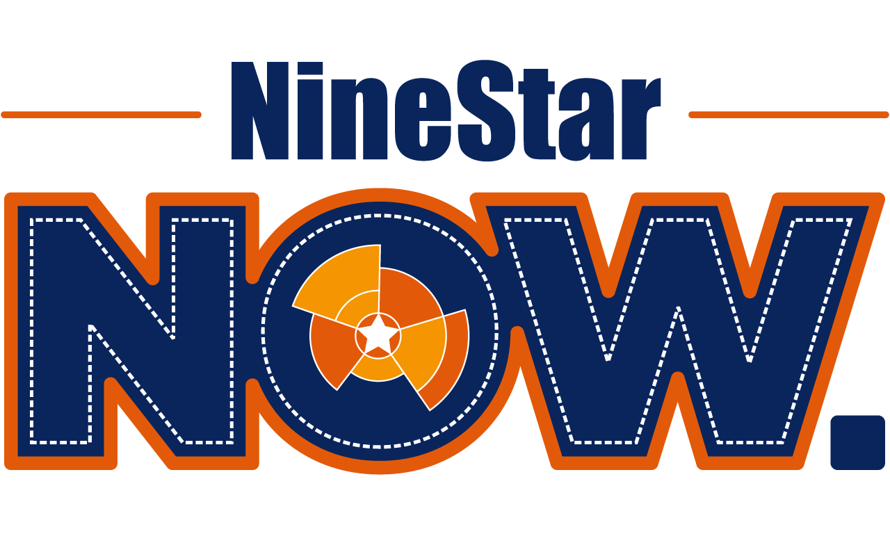 Reset Password - NineStar Connect